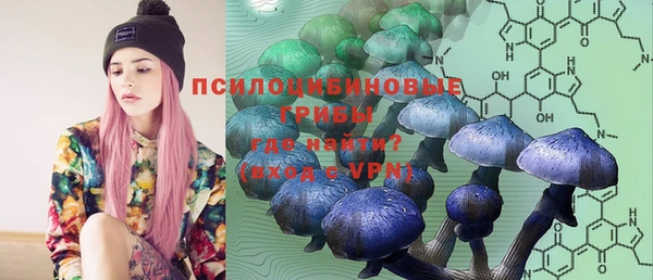 каннабис Новозыбков