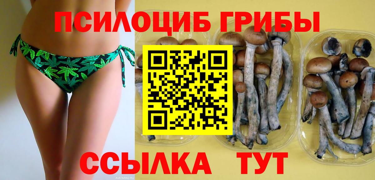 Псилоцибиновые грибы ЛСД Нальчик