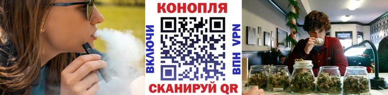 Канабис SATIVA & INDICA  магазин продажи наркотиков  MEGA маркетплейс  Нальчик 
