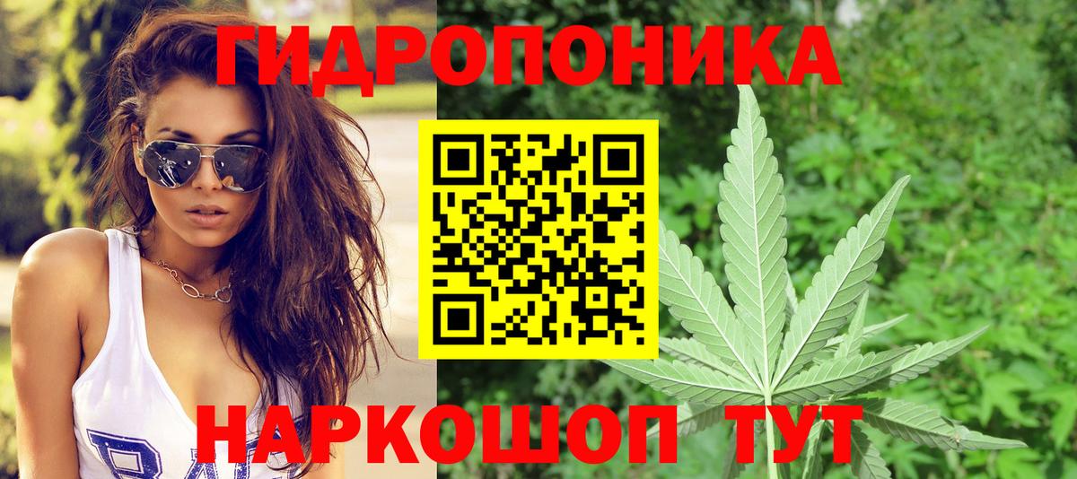 Бошки марихуана OG Kush  Канабис OG Kush  Вход с VPN  Нальчик  Конопля THC 21% 